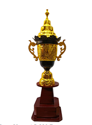 Elegant Metal Cup Trophy - Sports Award - AS829B
