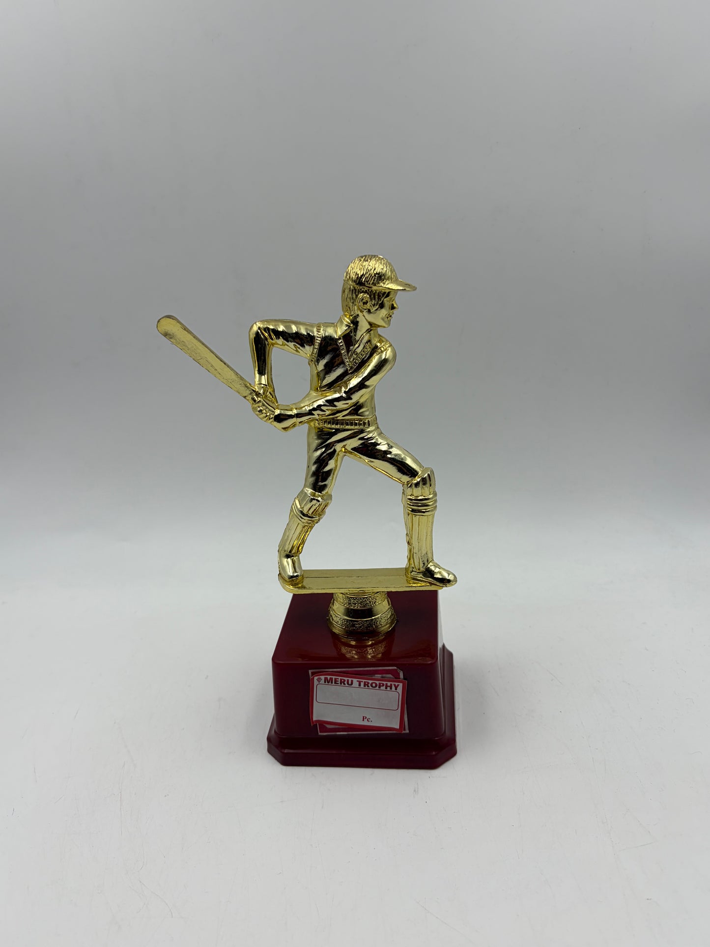 Cricket Trophy Award for Champions 107