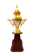 Elegant metal cup trophy; ideal for sports awards and recognition ceremonies.