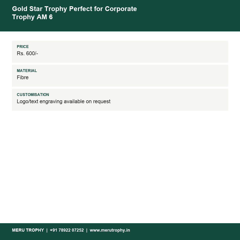 Gold Star Trophy Perfect for Corporate Trophy AM 6 details - Meru Trophy
