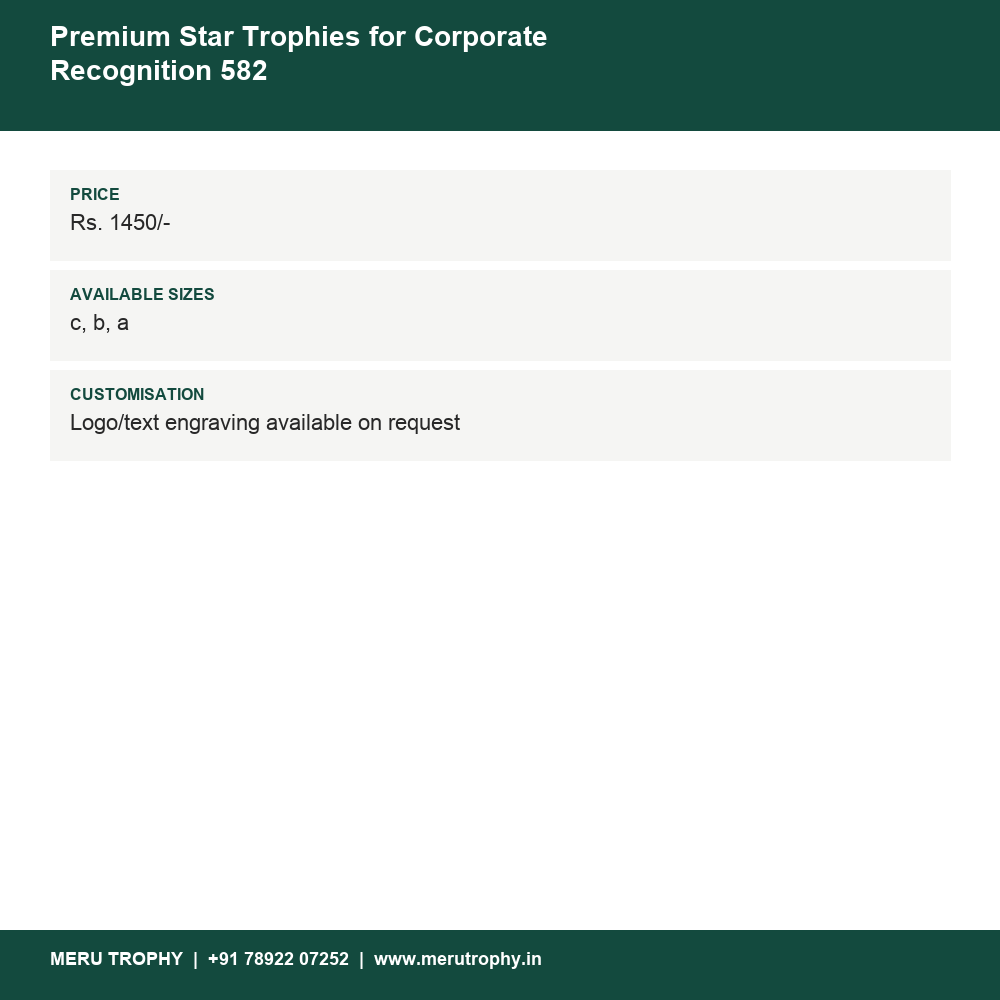 Premium Star Trophies for Corporate Recognition 582 details - Meru Trophy