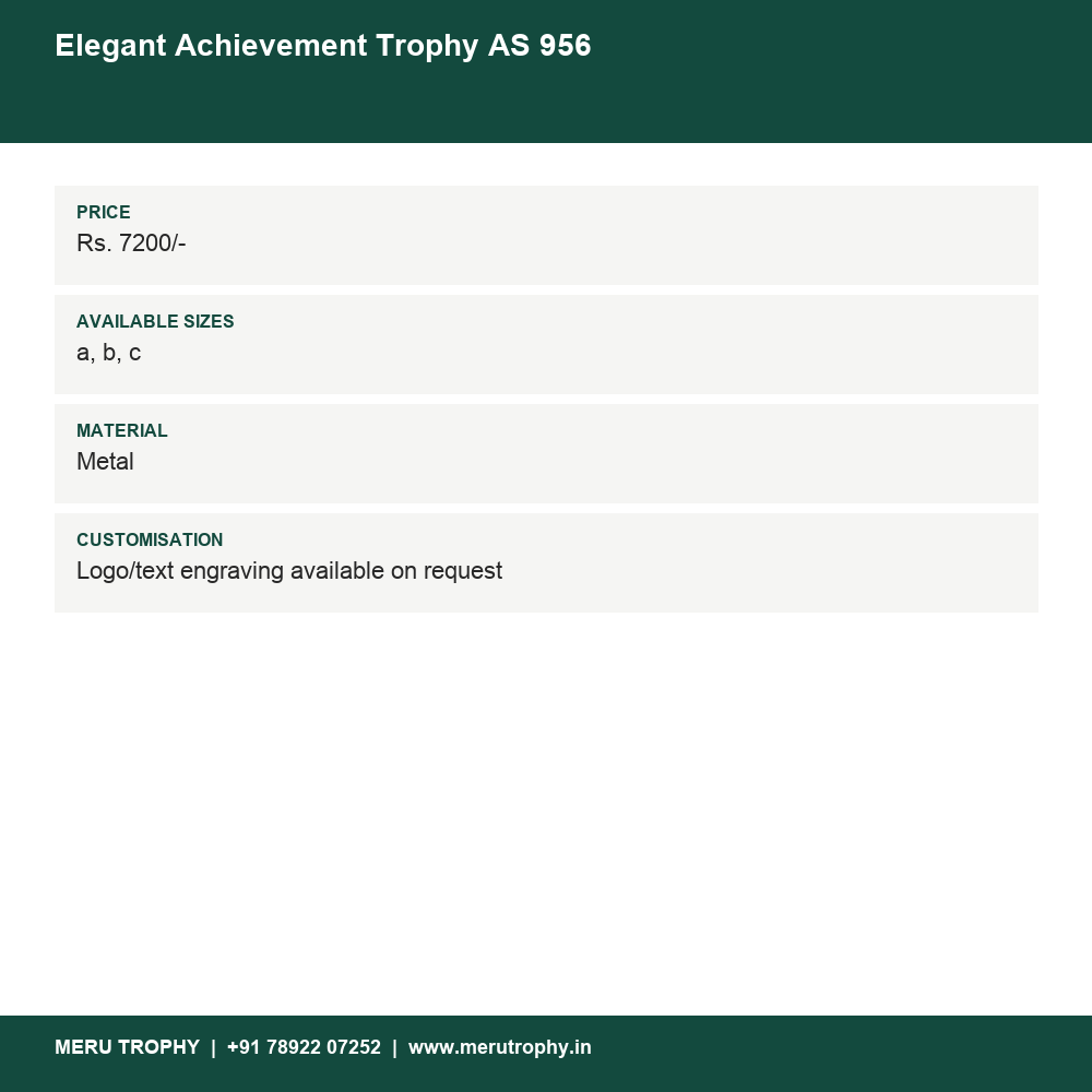 Elegant Achievement Trophy AS 956 details - Meru Trophy
