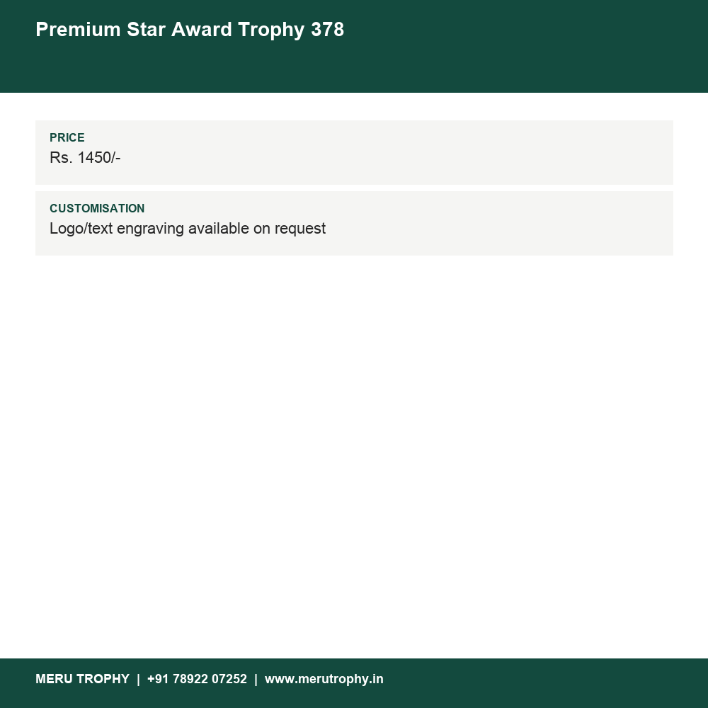Premium Star Award Trophy 378 details - Meru Trophy
