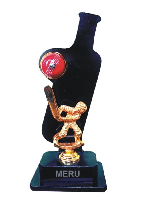 Dynamic acrylic cricket trophy showcasing a batsman in action - perfect for awards!