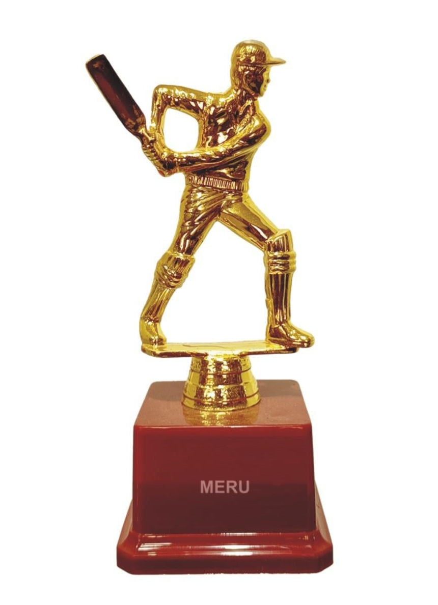 Gold cricket trophy featuring a batsman; a perfect fiber trophy for sports awards.
