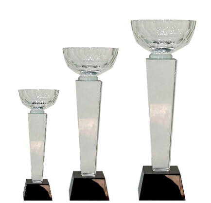 Elegant crystal trophy design; perfect for corporate or academic awards.