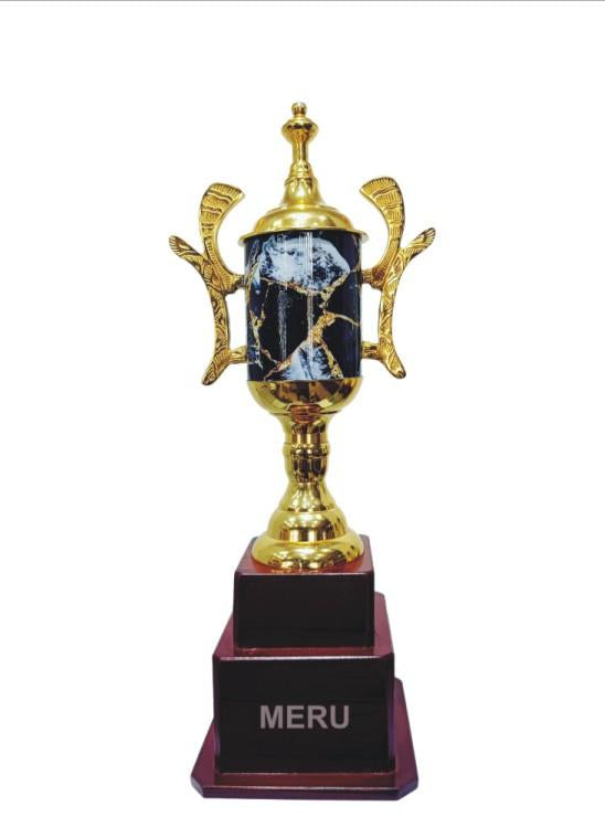 Gold and black marble trophy; perfect for sports awards and corporate recognition.