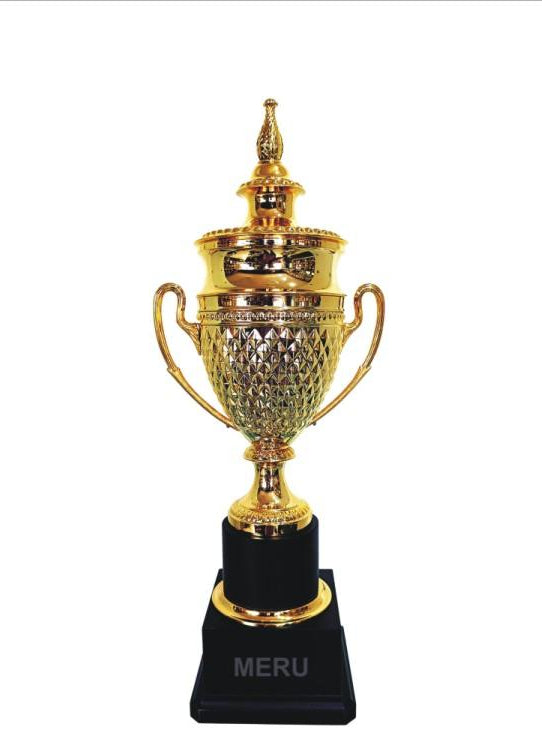 Gold metal trophy with textured cup; ideal for sports awards and corporate recognition.