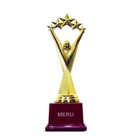 Gold Fiber Trophy with Star Design