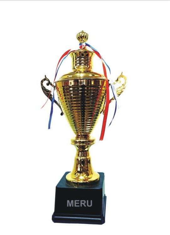 Gold Metal Trophy Cup - Award Ceremony