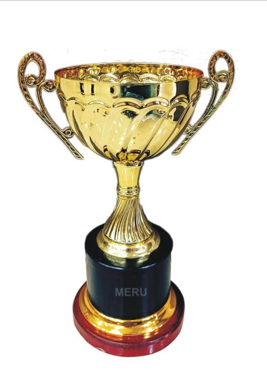 Golden Trophy Cup 5005 - Achievement Award