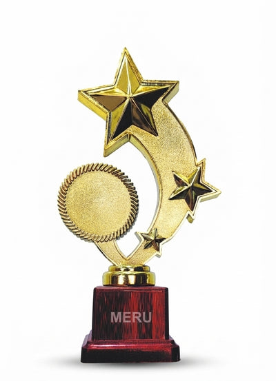 Gold Star Trophy | Custom Trophies 2375 - Meru Trophy