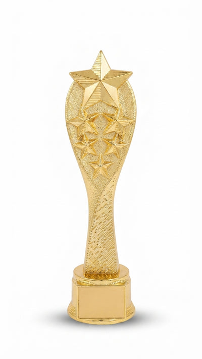 Gold Star Trophy Award - Symbol of Excellence and Recognition AM 4 - Meru Trophy