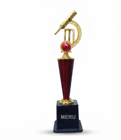 Cricket Trophy Award Sports Awards - Metal Sports Trophies AS 943 - Meru Trophy