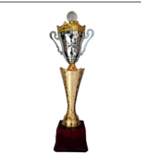 Metal Sports Trophy - Cup Design 1396