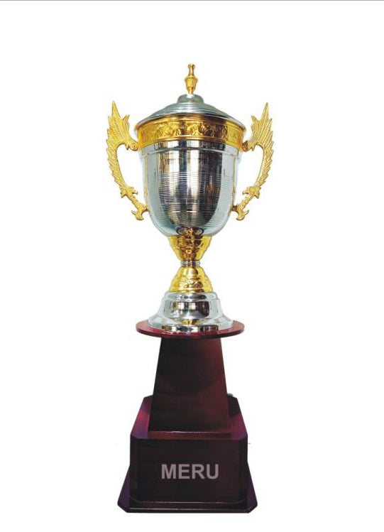 Gold and Silver Cup Trophy