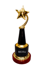 Gold star trophy; ideal for recognition awards and corporate trophies.