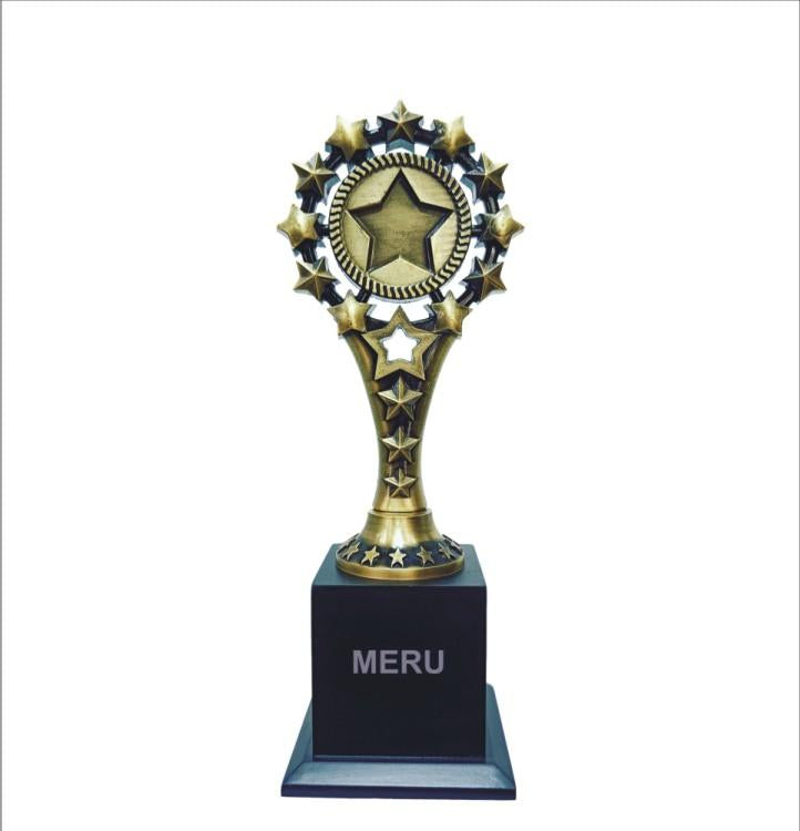 Gold Star Trophy - Symbol of Achievement