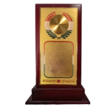 Elegant wooden memento trophy with gold plaque; perfect for awards.