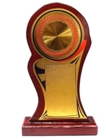 Elegant wooden trophy showcasing a stylized human torso; perfect for employee recognition awards.