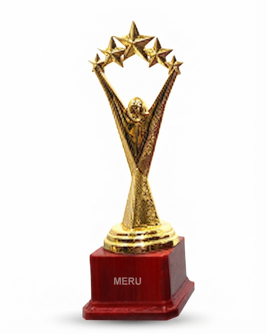 Gold Star Achievement Recognition Trophy 6157 - Meru Trophy