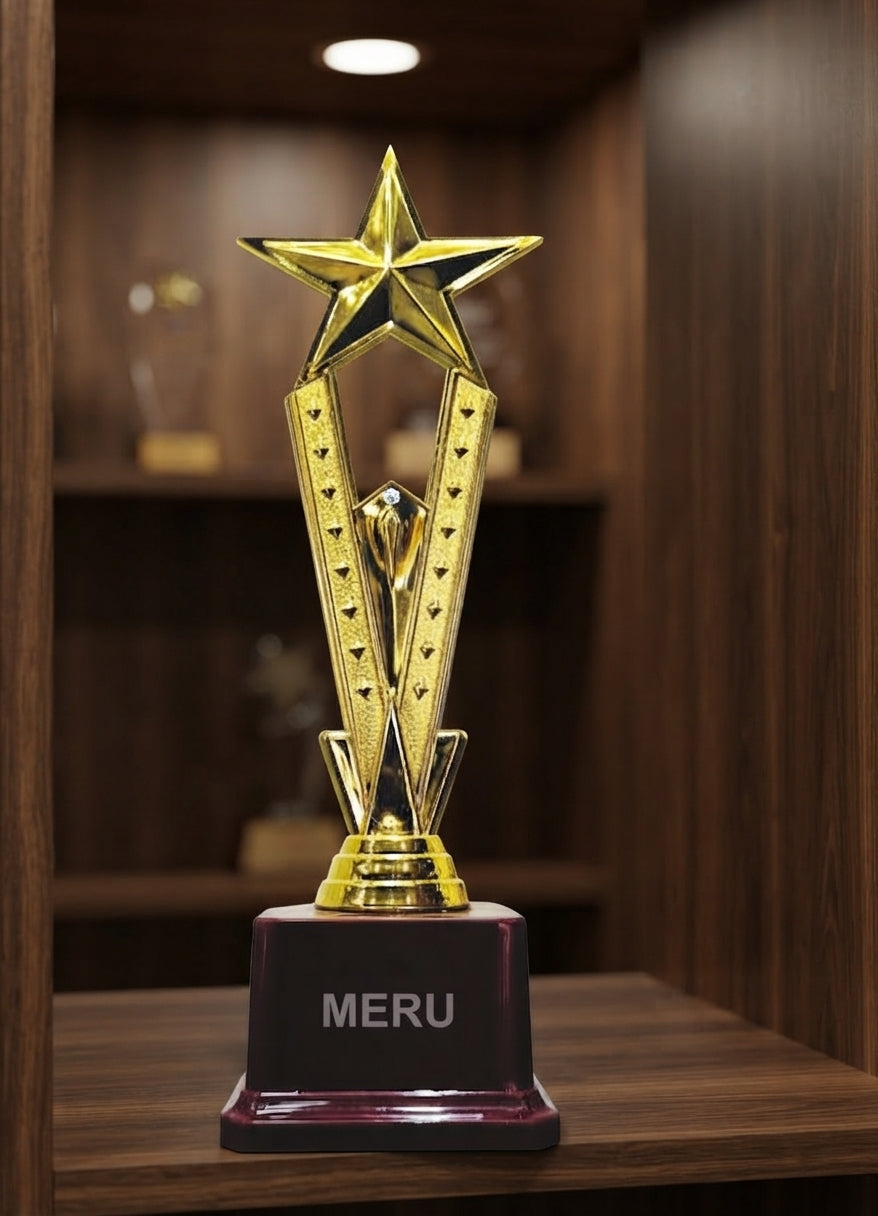 Gold Star Award Trophy 1214 alternate view - Meru Trophy