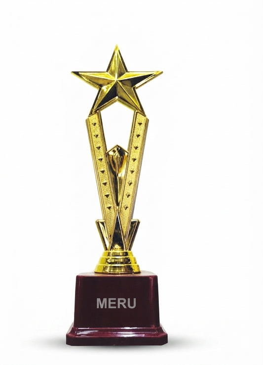 Gold Star Award Trophy 1214 - Meru Trophy