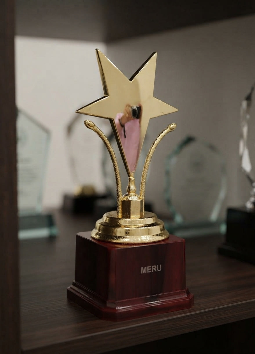 Gold Star Award Trophy 6156 alternate view - Meru Trophy