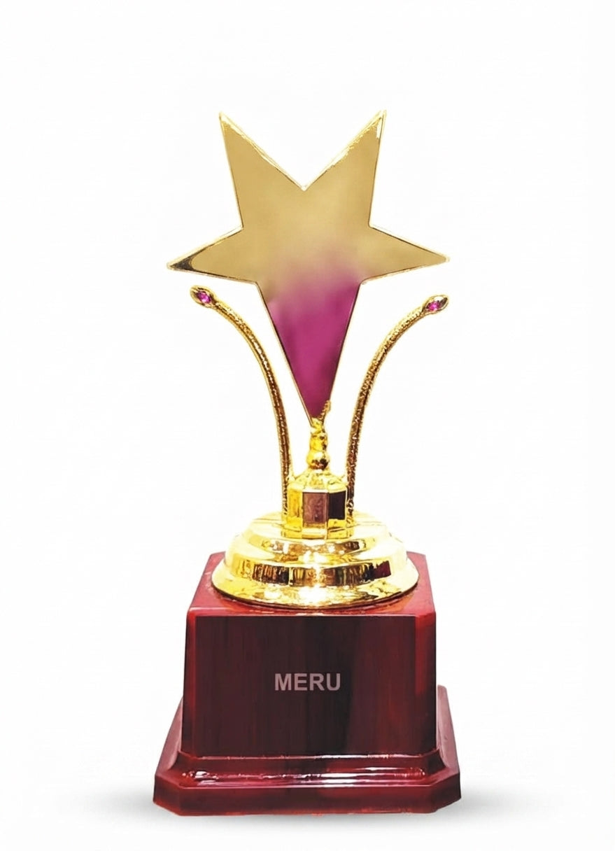 Gold Star Award Trophy 6156 - Meru Trophy