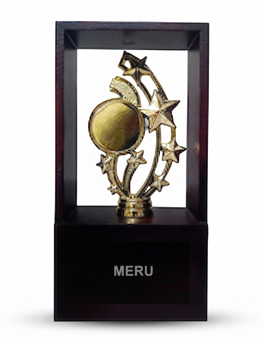 Gold Star Employee of the Year Trophy 7303 - Meru Trophy