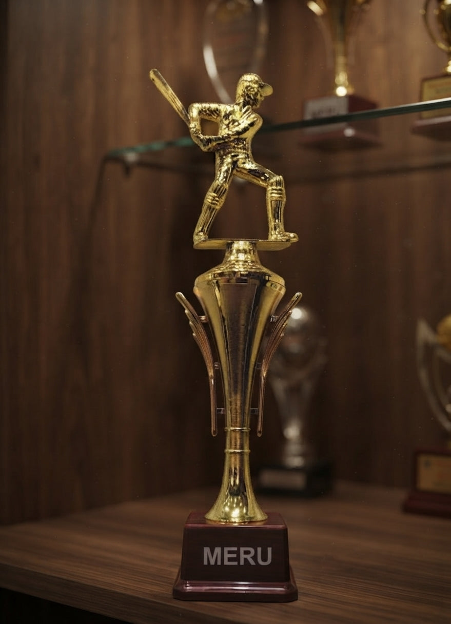 Cricket Trophies Gold Fiber Trophy HV107 alternate view - Meru Trophy