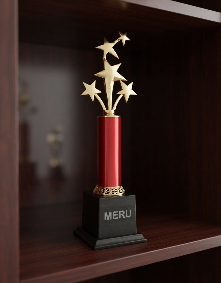 Star Burst Corporate Trophy 510 alternate view - Meru Trophy