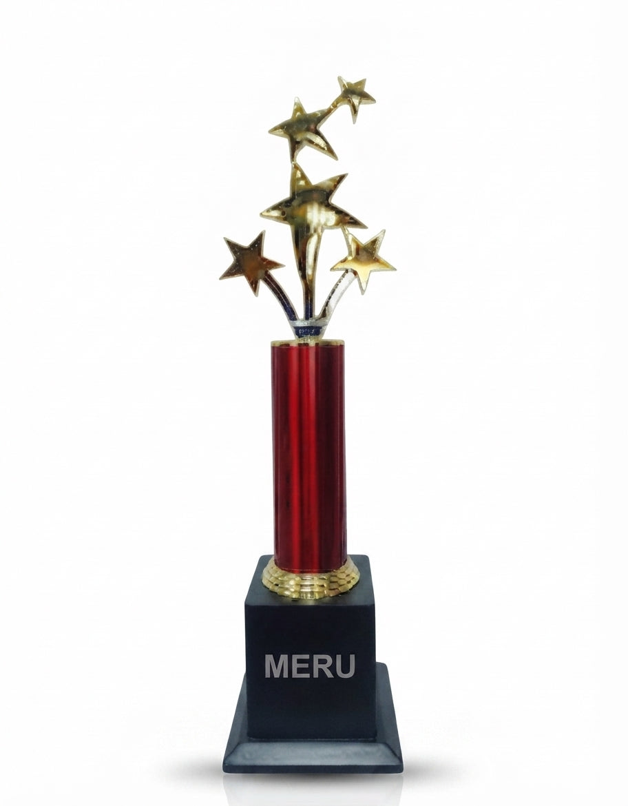 Star Burst Corporate Trophy 510 - Meru Trophy