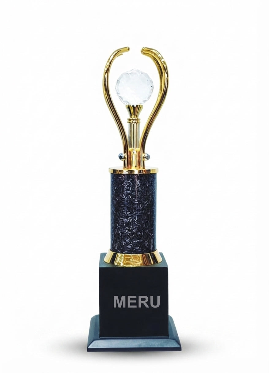 Crystal Trophies and Awards  504 - Meru Trophy