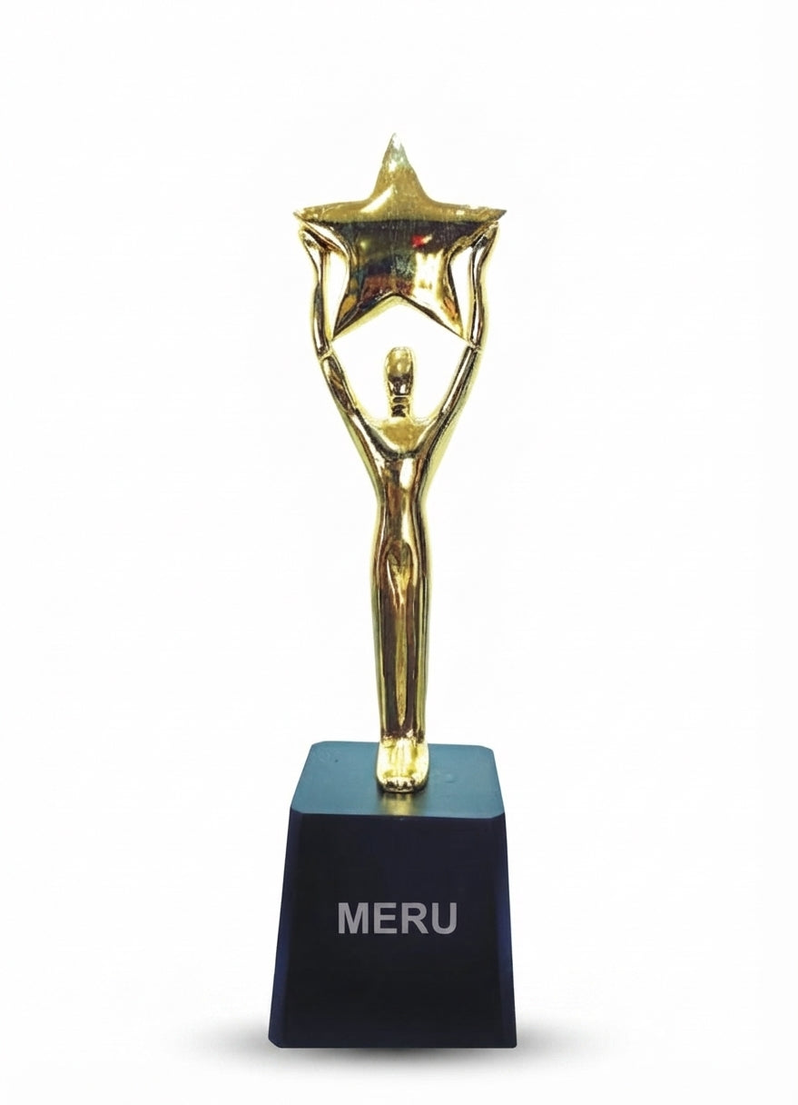 Premium Gold Star Corporate Trophy 538 - Meru Trophy