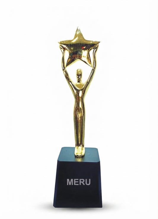 Premium Gold Star Corporate Trophy 538 - Meru Trophy