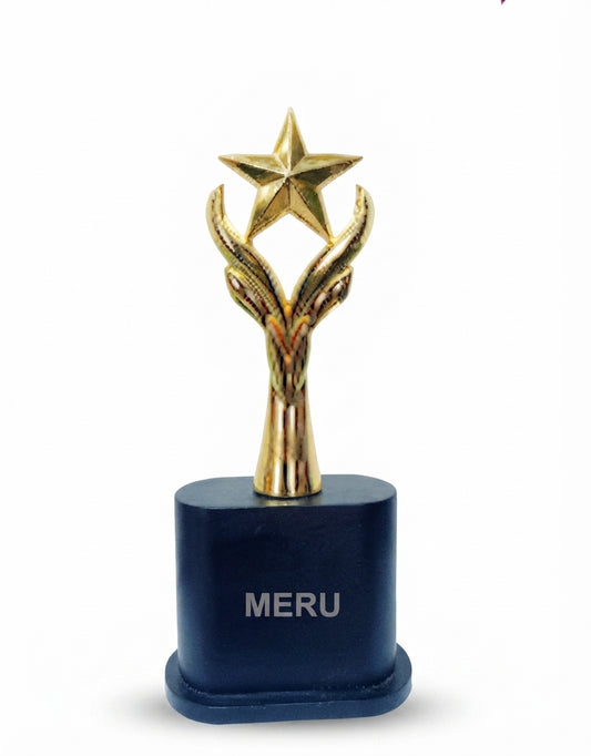 Gold Star Award Trophy  122 - Meru Trophy