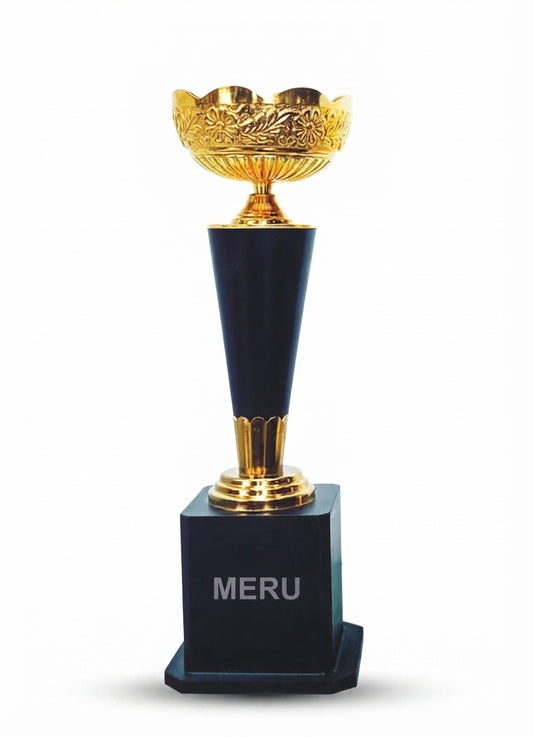 Premium Gold Achievement Trophy 495 - Meru Trophy