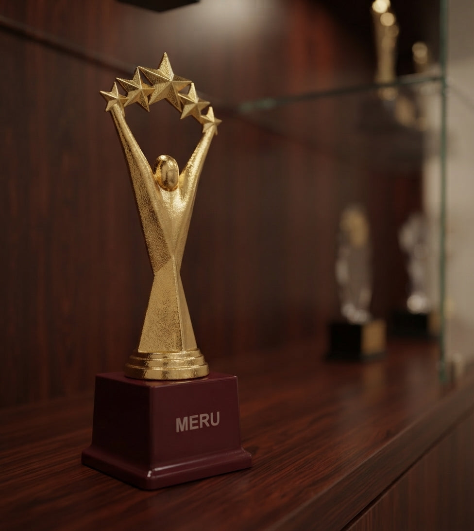 Fibre Star Achievement Award Trophy 643 alternate view - Meru Trophy