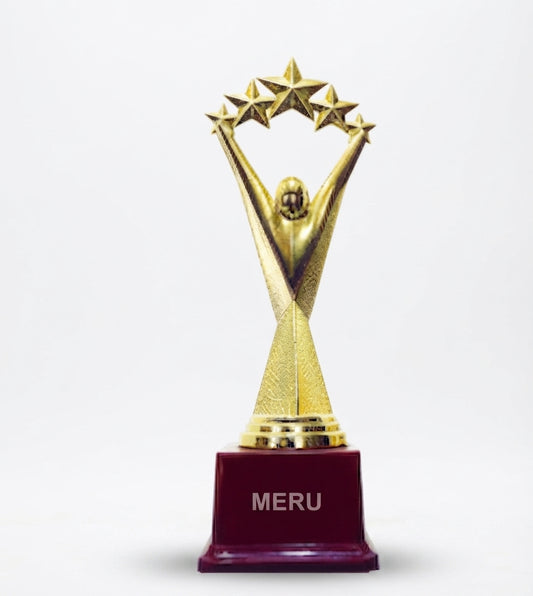 Fibre Star Achievement Award Trophy 643 - Meru Trophy