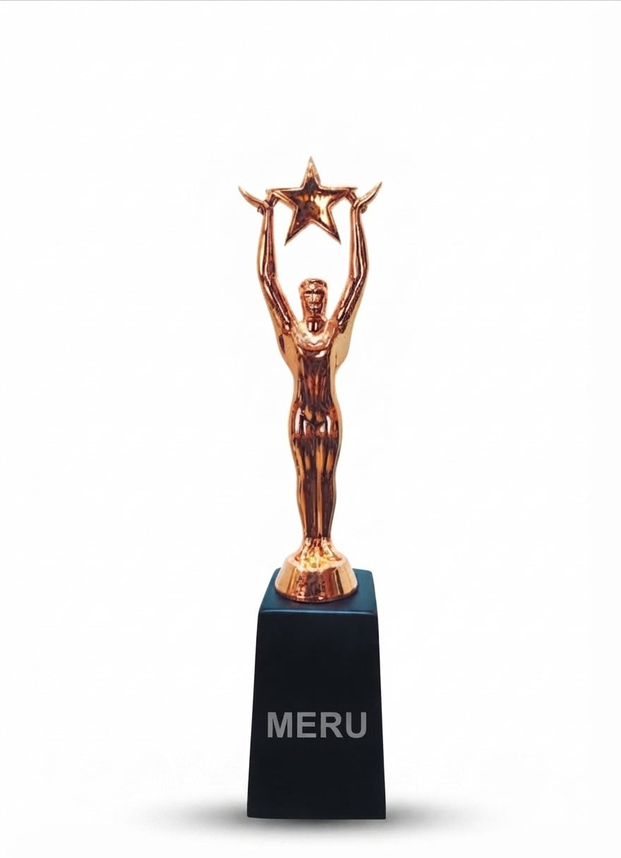 Star Achievement Trophy Corporate Award 119 - Meru Trophy