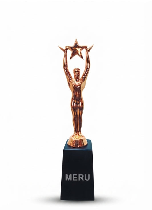 Star Achievement Trophy Corporate Award 119 - Meru Trophy