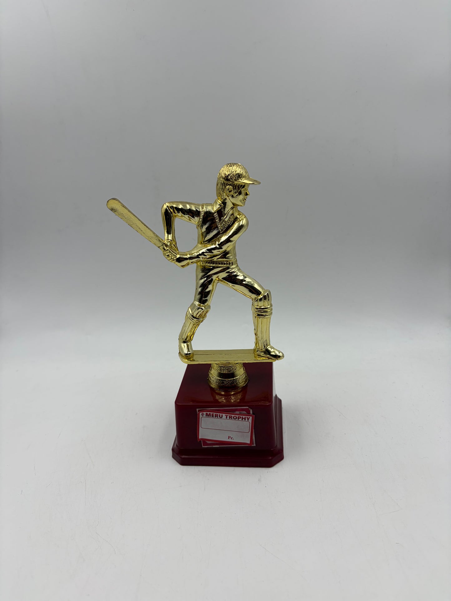 Cricket Trophy Award for Champions 107