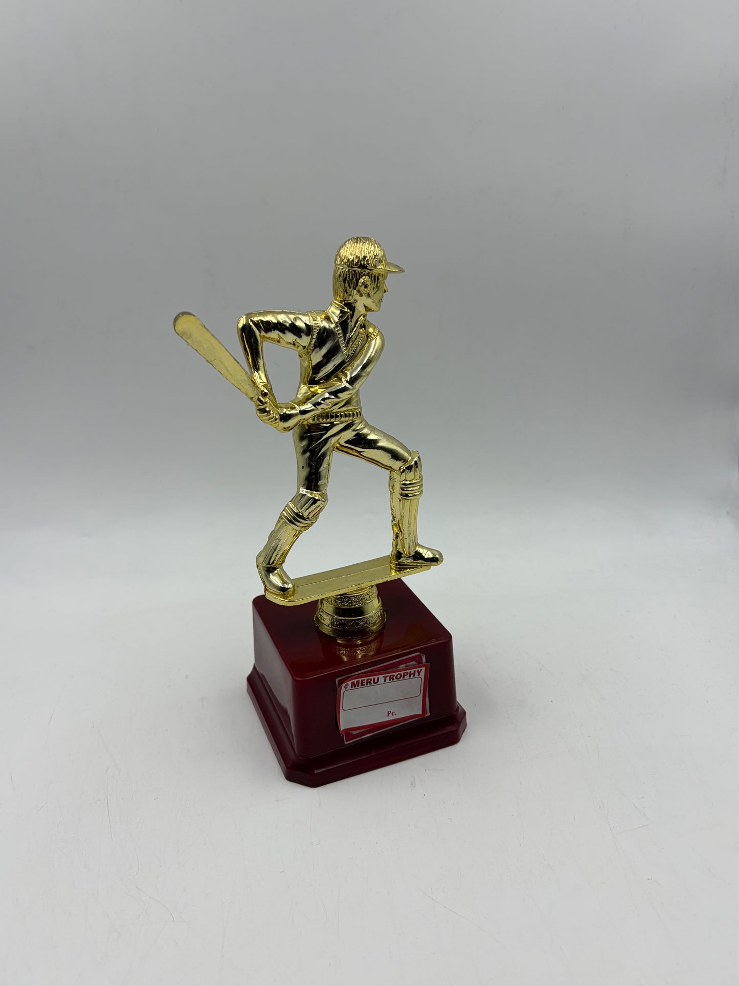 Cricket Trophy Award for Champions 107