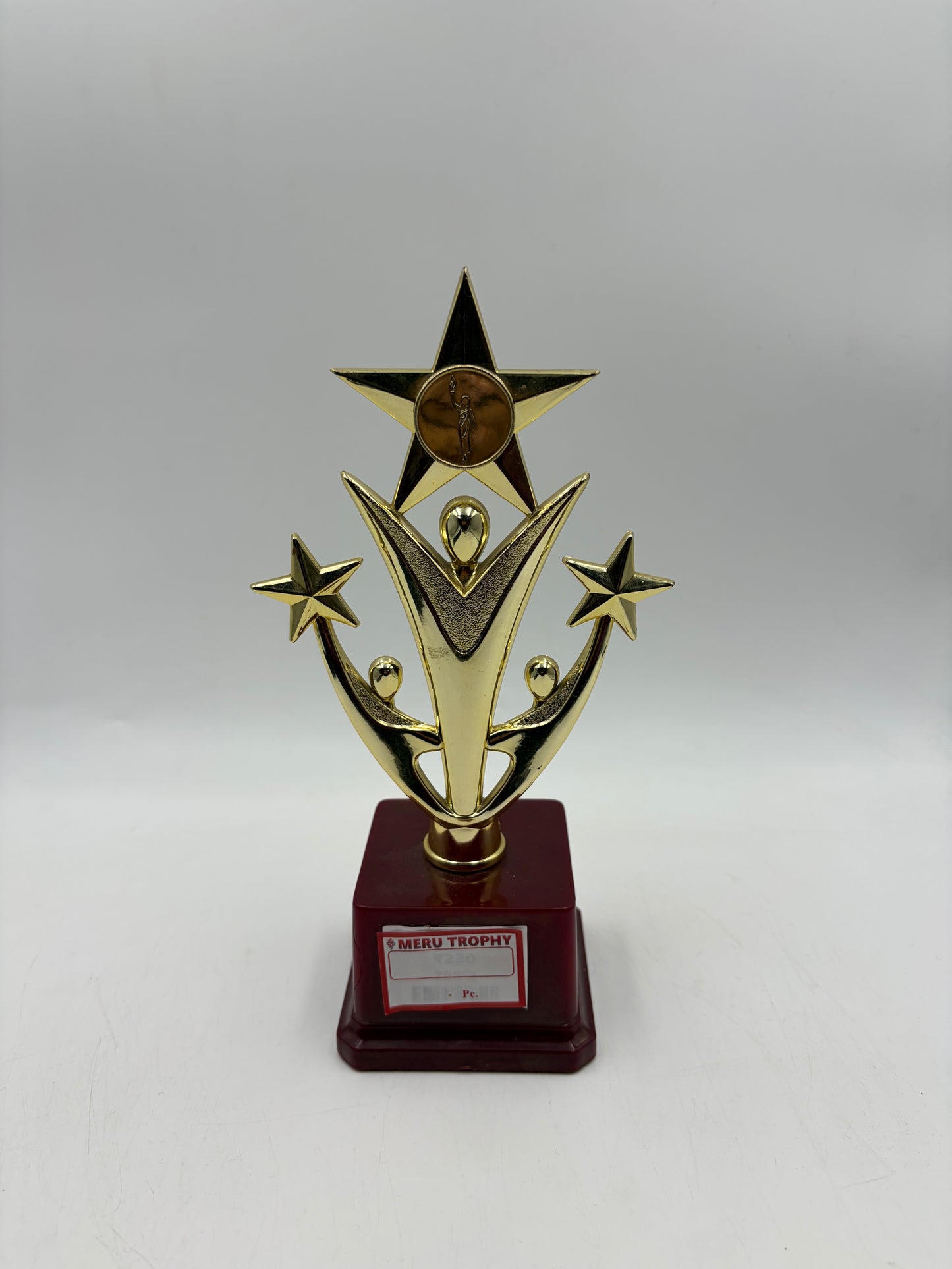 Gold Star Achievement Trophy 2373 - Fiber Trophies Online