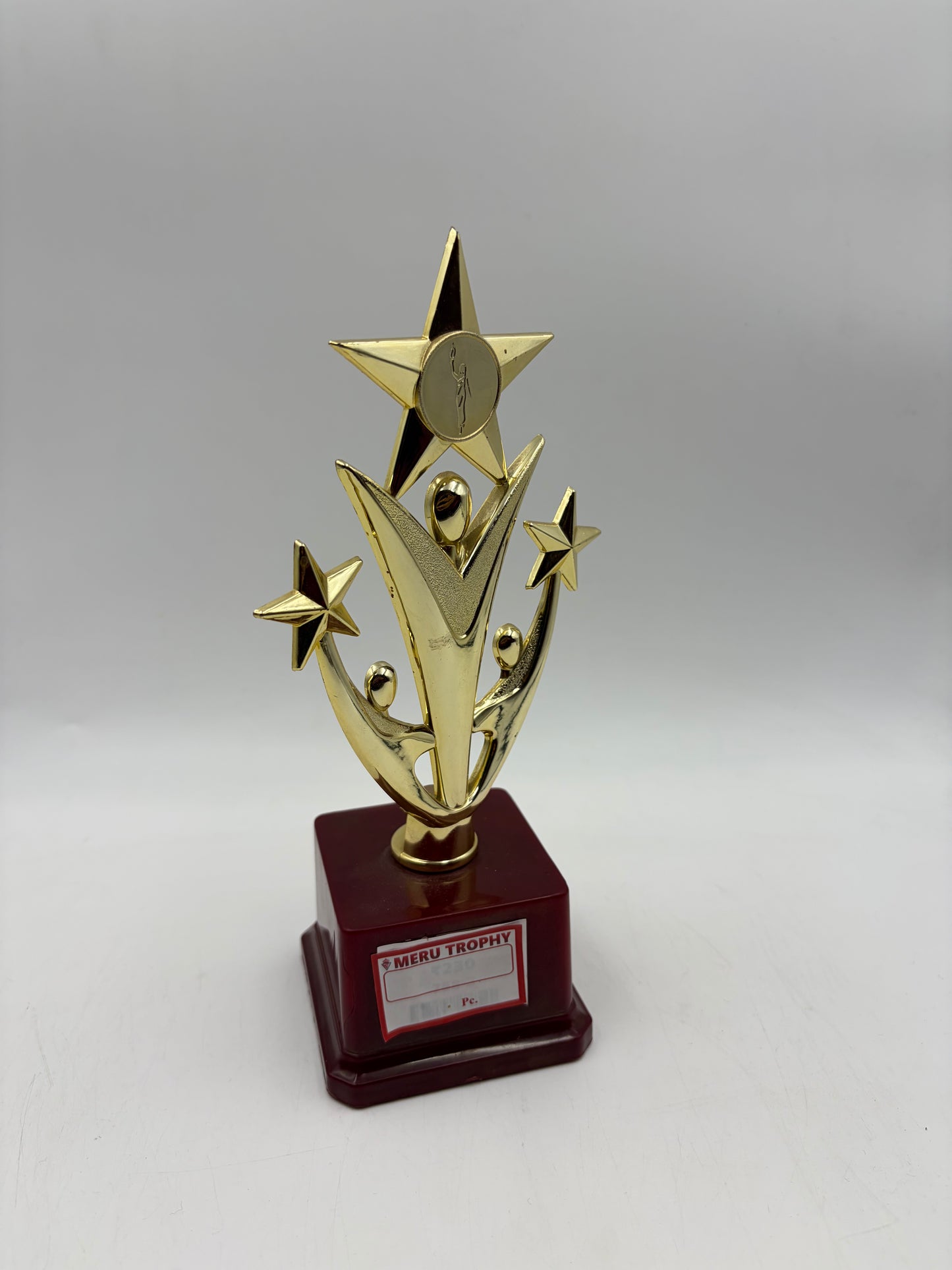 Gold Star Achievement Trophy 2373 - Fiber Trophies Online