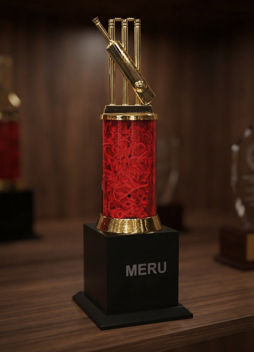 Metal Cricket Trophy Award cricket trophy award 610 alternate view - Meru Trophy