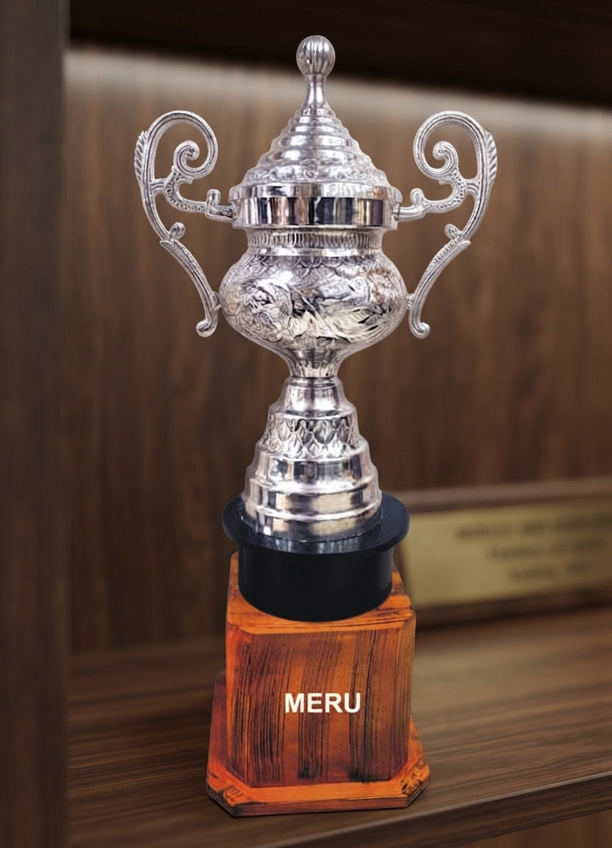 Elegant Silver Trophy Award 806-Silver-1 alternate view - Meru Trophy