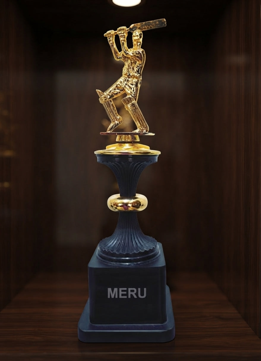 Cricket Trophy Custom Award 6005 alternate view - Meru Trophy