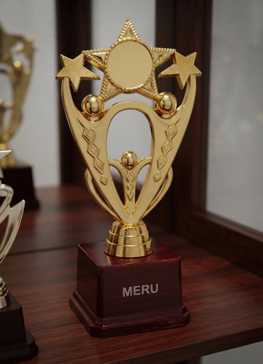 Gold Star Achievement Trophy  750 alternate view - Meru Trophy